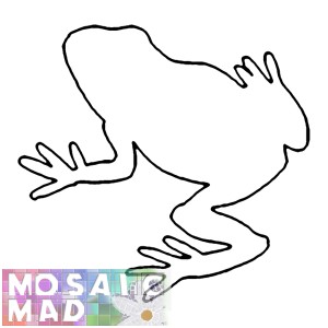 Animal FROG PATTERN