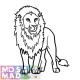 Animal LION PATTERN