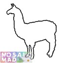 Animal LLAMA PATTERN