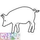 Animal PIG PATTERN