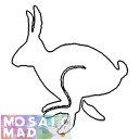 Animal RABBIT PATTERN