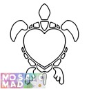 Animal TURTLE PATTERN