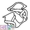 Celtic Alphabet - Letter S