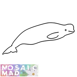 BELUGA WHALE PATTERN