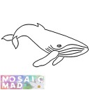 HUMPBACK WHALE PATTERN