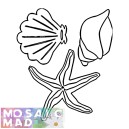 SHELLS 2 PATTERN