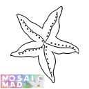 STARFISH 1 PATTERN