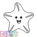 STARFISH 2 PATTERN