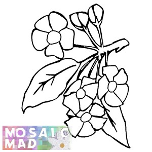Flower APPLE BLOSSOM PATTERN