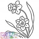 Flower: DAFFODIL 1 Pattern