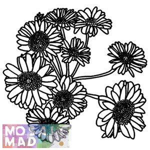Flower: DAISIES 1 Pattern