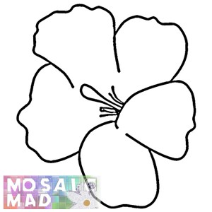 Flower: HIBISCUS 1 Pattern