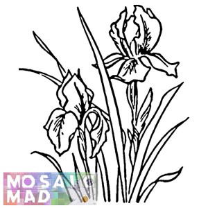 Flower: IRIS 1 Pattern