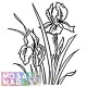 Flower: IRIS Pattern