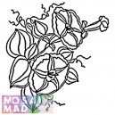 Flower: MORNING GLORY Pattern