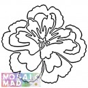 Flower: PEONY 1 Pattern
