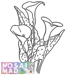 Flower ARUM LILY 3 Pattern