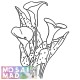Flower ARUM LILY 3 Pattern