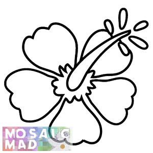 Flower: HIBISCUS 2 Pattern