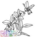 Flower: ORCHIDS 2 Pattern