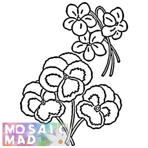 Flower: PANSY 3 Pattern