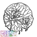 Flower: WATERLILIES 4 Pattern