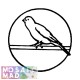 BIRD PATTERNS EBOOK