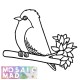 BIRD PATTERNS EBOOK