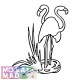 Birds: FLAMINGO 2 Pattern