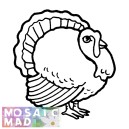 Birds: TURKEY Pattern
