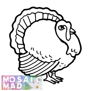 Birds: TURKEY Pattern