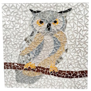 OWL Kit