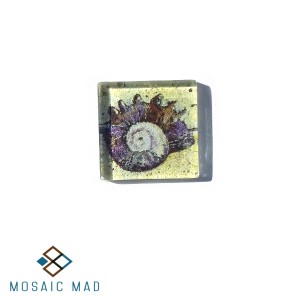 Sea Shell 03 Decoupage