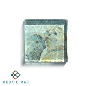 Seals Decoupage Glass Tile