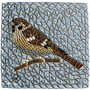 SPARROW Kit