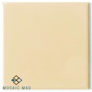 TAUPE Gloss Ceramic Tile
