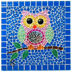 FUNKY OWL Kit
