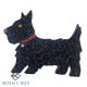 Mosaic Project:Skottie Dog 