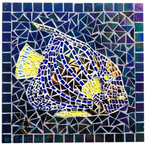TROPICAL FISH Kit