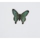 Butterfly : Greens with Black Edge 