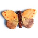 Butterfly : Orange and Brown