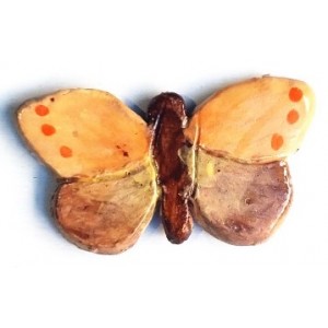 Butterfly : Orange and Brown