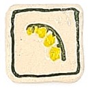 Spring Flower : Yellow