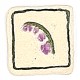 Spring Flower : Lilac