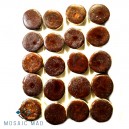 Mosaic Insert Set: Ceramic Small Round Tiles (20) - Chestnut Brown