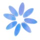 DAISY - BLUE Petals 8 with WHITE Centre