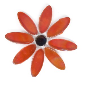 DAISY - RED Petals (8) BLACK Centre