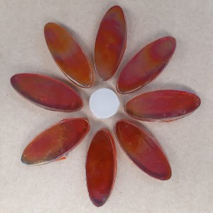 DAISY - RED Petals (8) WHITE Centre