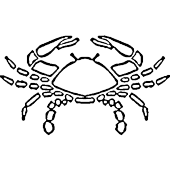 Zodiac CANCER Craft Pattern